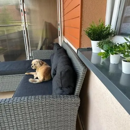 Apartament Ustron アパート